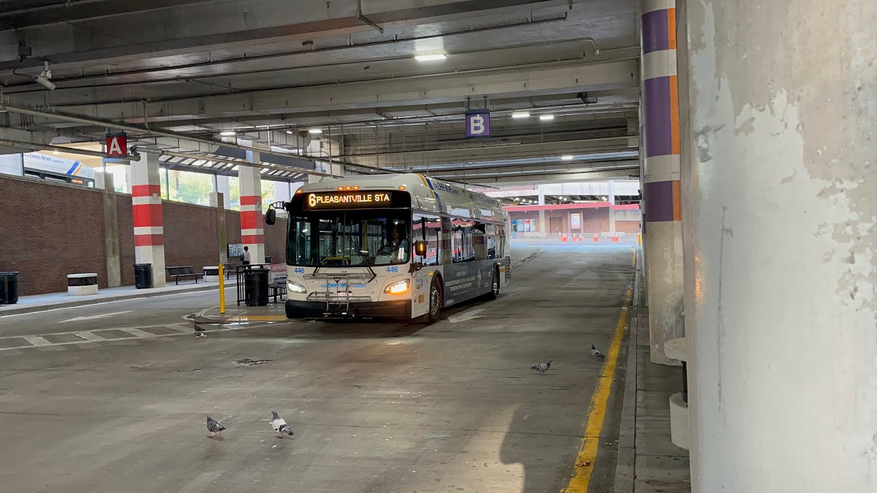 Bee Line Bus Action in White Plains during a Saturday