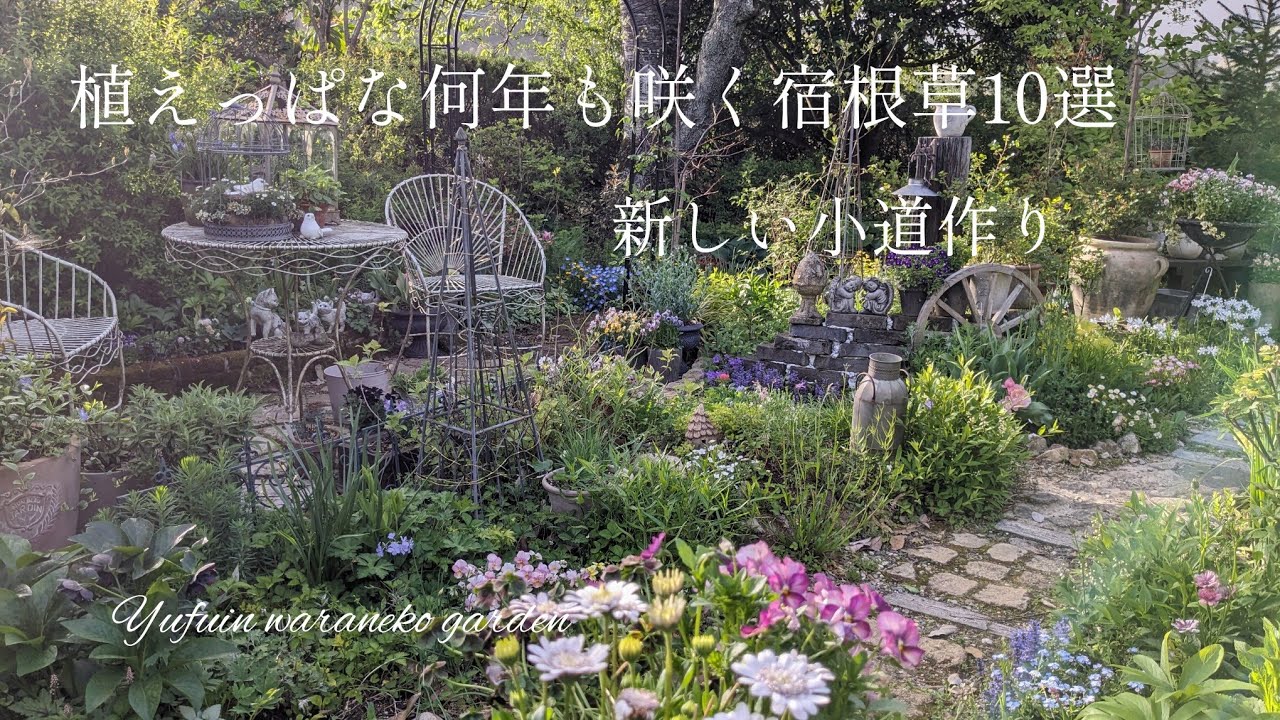 【４月】植えっぱなしで何年も咲く宿根草10選/新しい小道作り/望む世界へ...