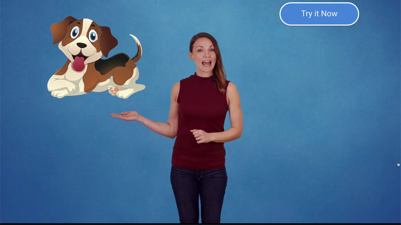 Interactive Video Demo | Mindstamp