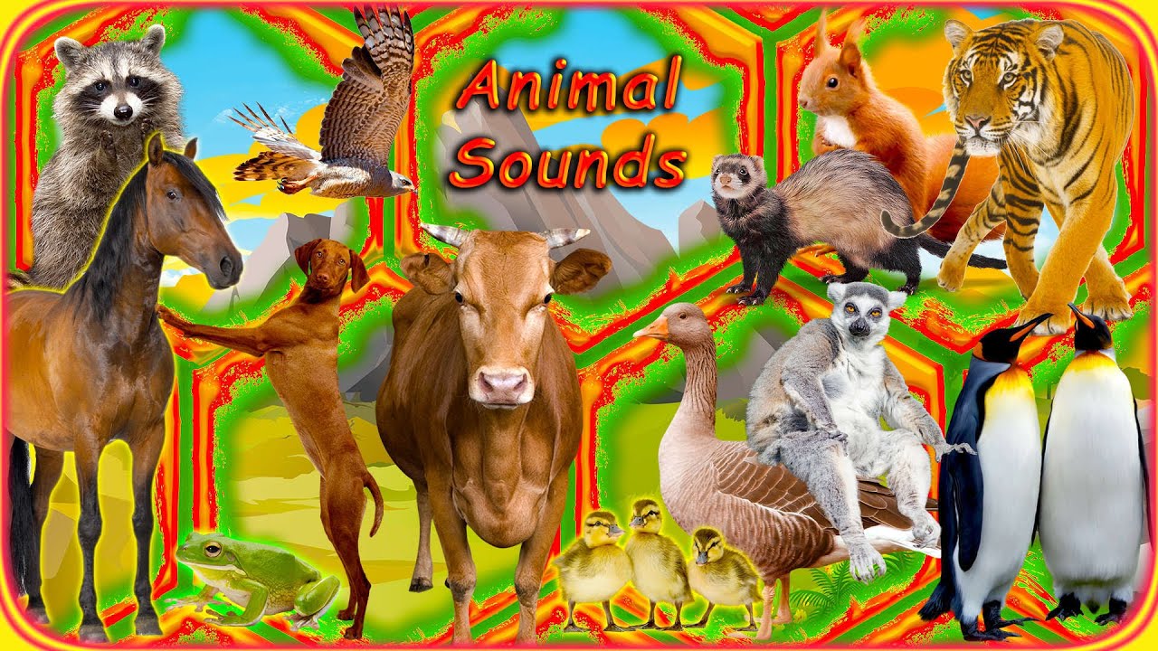 What Animal Makes That Sound? | Learn with Fun! 🎧 Wild and domestic animals • Learning Animal Sounds