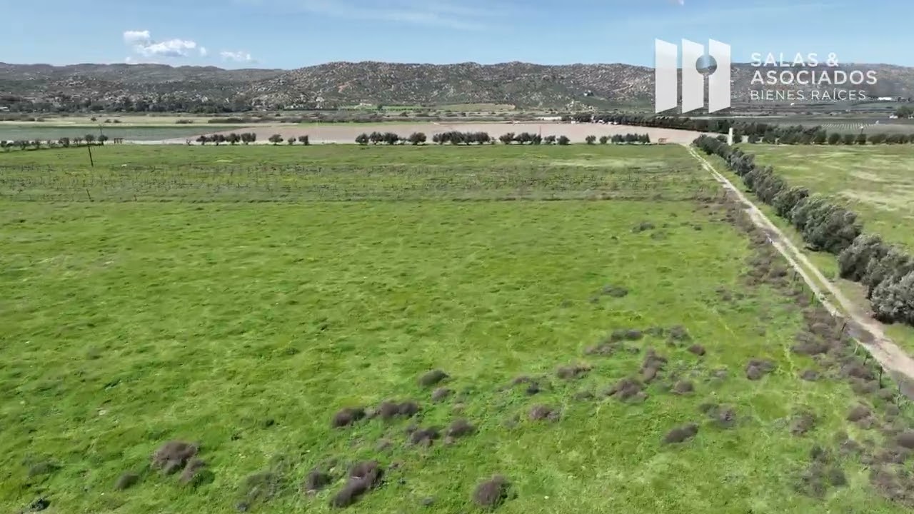 8 HECTAREAS EN VENTA EN VALLE DE GUADALUPE, CON ELECTRICIDAD Y DERECHOS DE AGUA.
