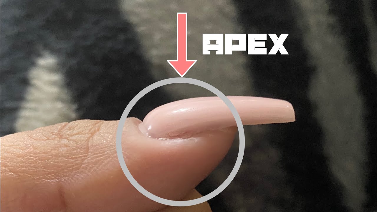 How to build an Apex for Beginners on Acrylic Nails