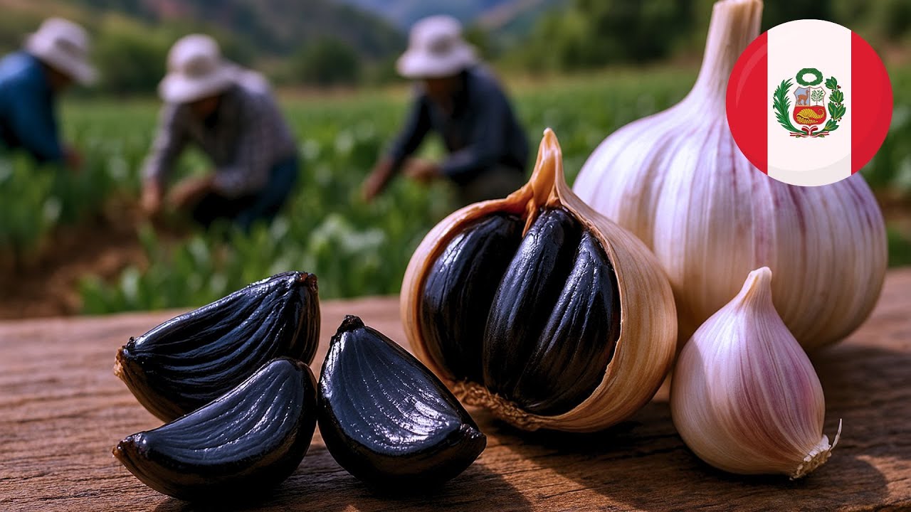 Así se hace el ajo negro que todos quieren probar