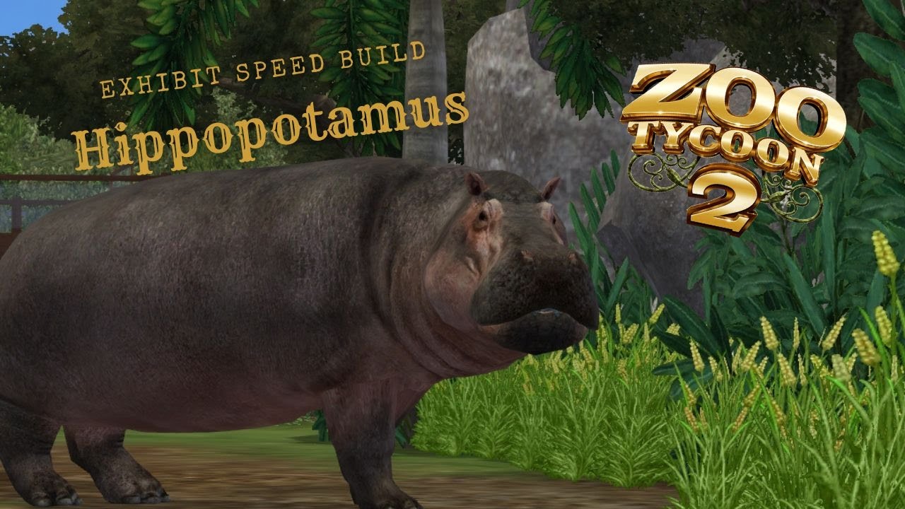 Zoo Tycoon 2: Hippopotamus Exhibit Speed Build