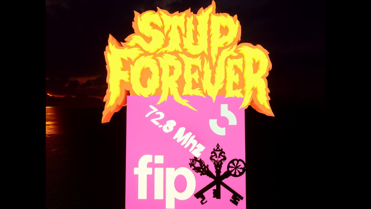 Stup-Modélisation avec la RadioFlip 72.8 Mhz