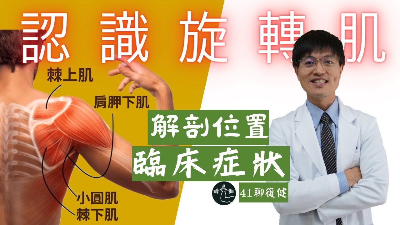 【旋轉肌系列】旋轉肌解剖構造｜受傷機轉 ｜臨床症狀 ｜ FT.王稚暉醫師