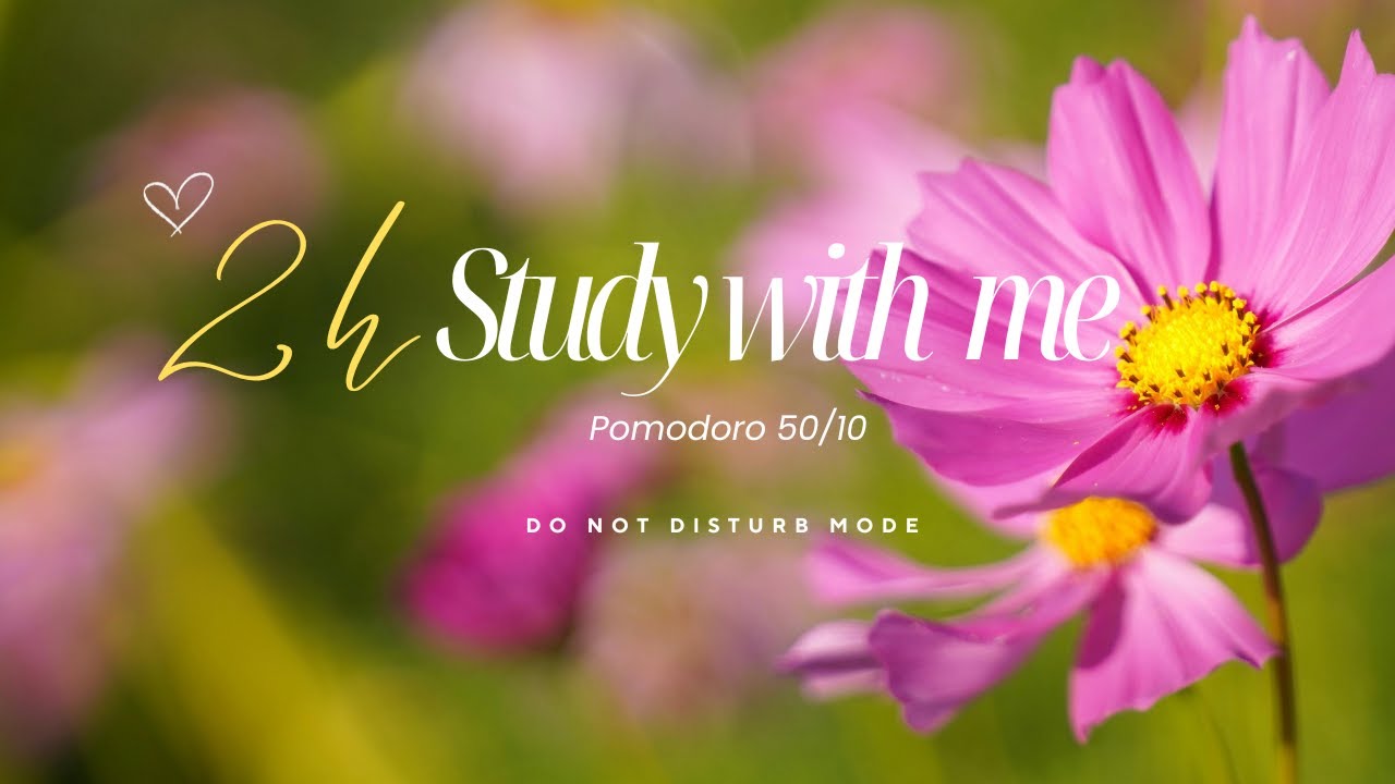 🎀💻2 Hour Study With Me | 50/10 Pomodoro Timer w/ Full Focus Mode | ADHD Limited Distractions 💐📚
