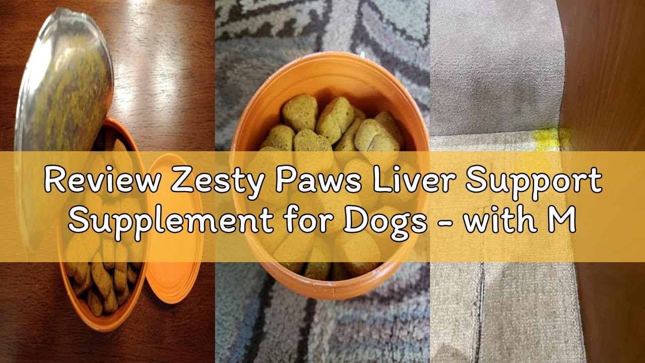 Review Zesty Paws Liver Support Supplement for Dogs - with Milk Thistle Extract, Turmeric Curcumin,