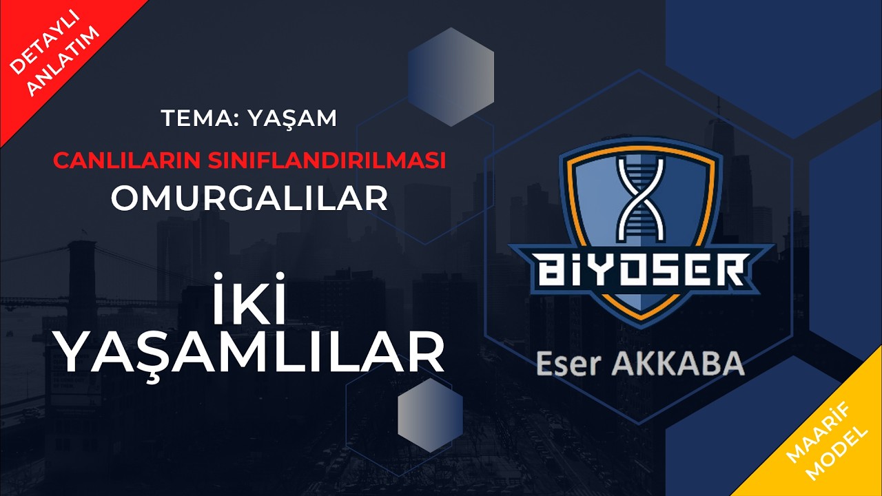 OMURGALI HAYVANLAR - İKİ YAŞAMLIlAR (AMFİBİLER) | 9. Sınıf ve TYT Biyoloji