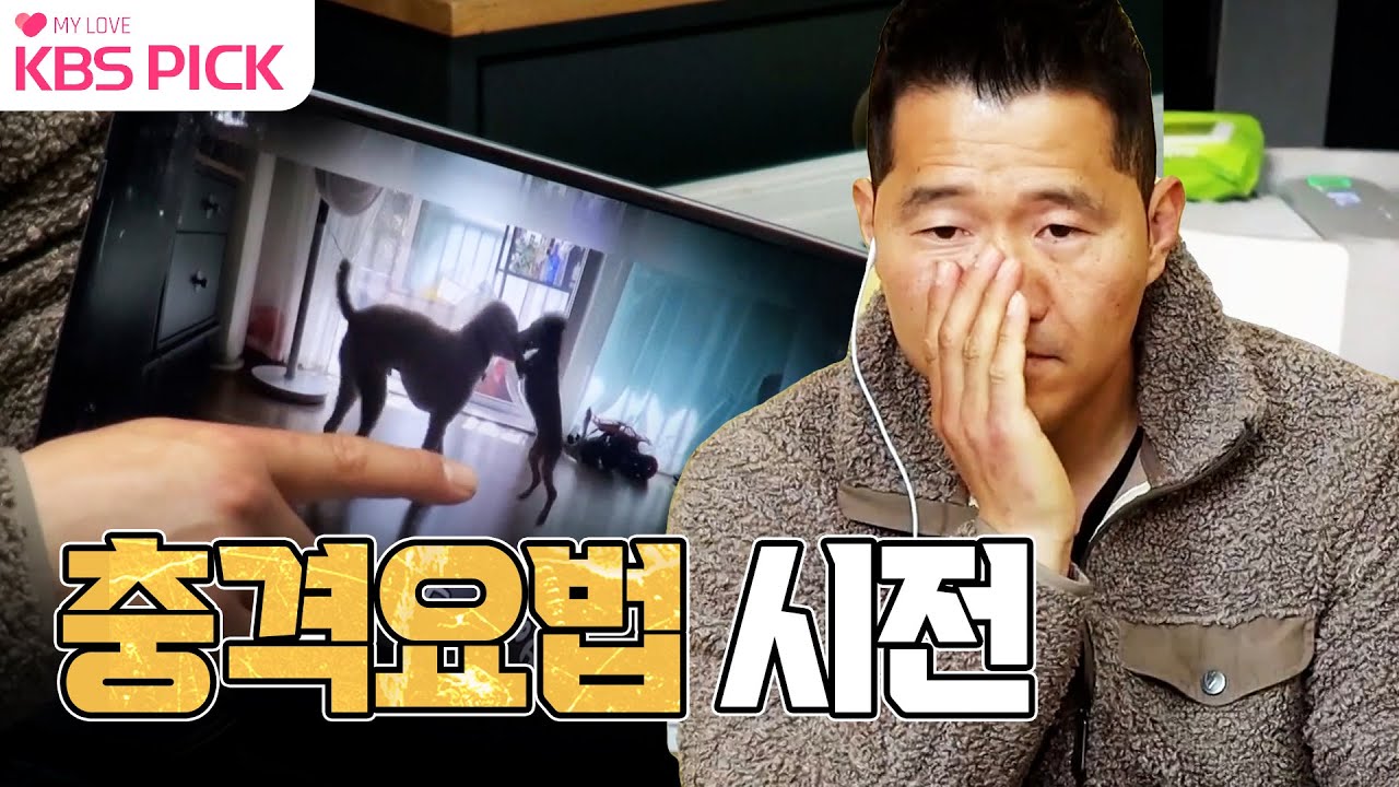 [#개는훌륭하다] 심각함을 전혀 모르는 보호자에게 노트북을 꺼내 충격요법 시전하는 강훈련사 🐶ㅣKBS 230102 방송