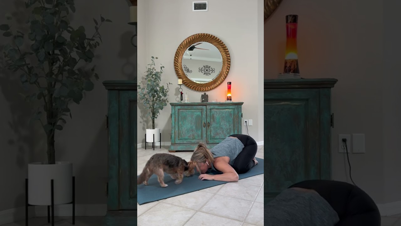 Pre-yoga stretch with the Bear