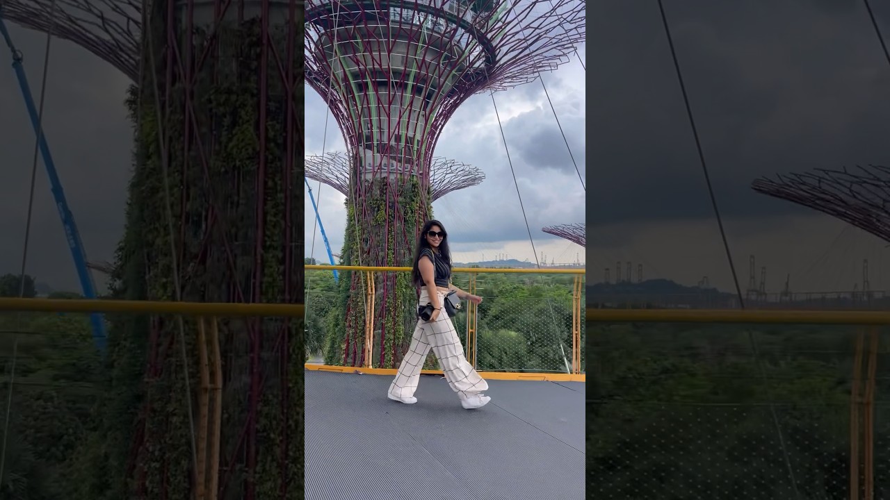 SINGAPORE - 3,4,5 days, itinerary, what to do, travel, alleii, indian traveller, gardensbythebay