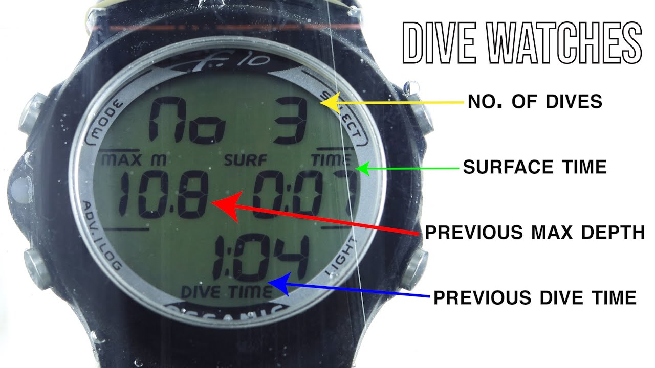 Rob Allen | Dive Watches | 2022