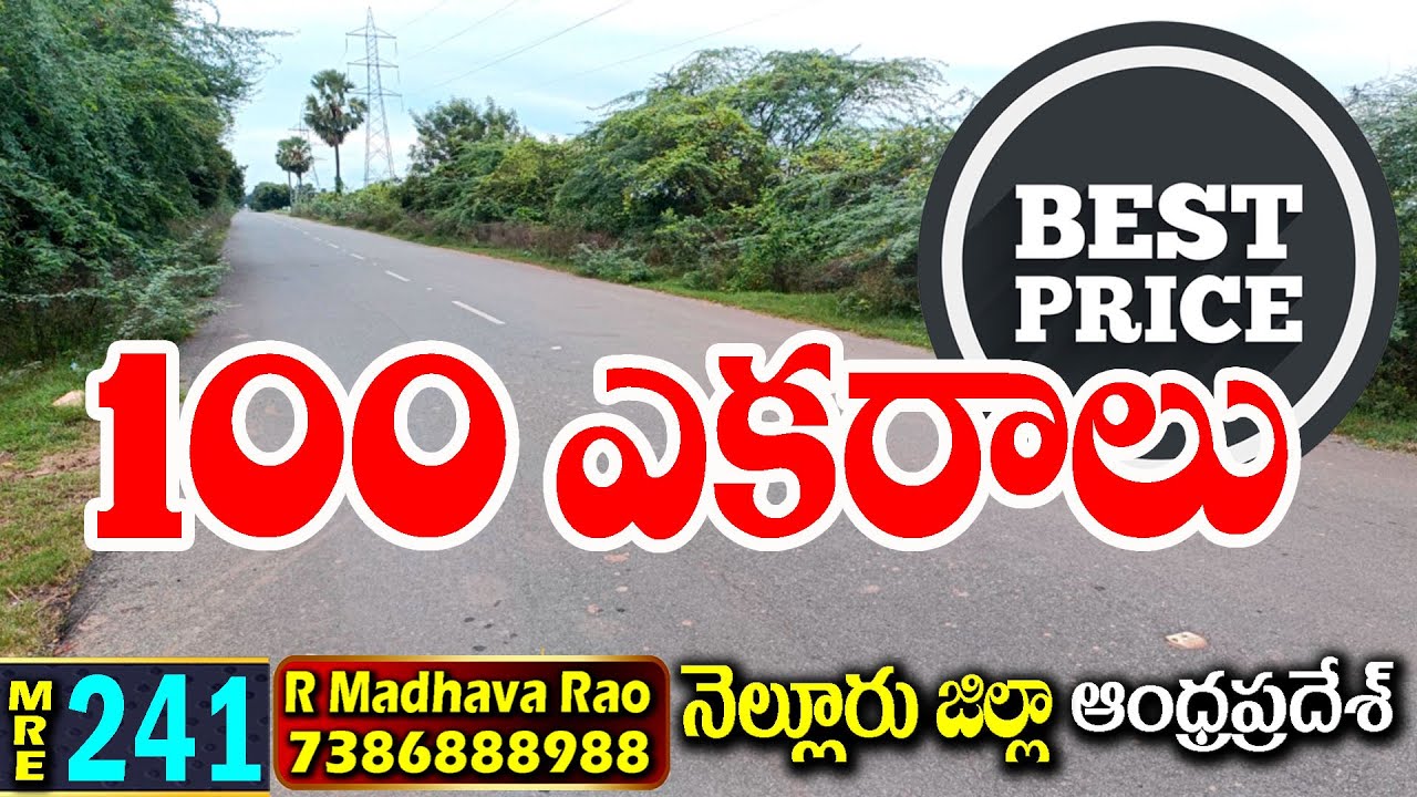 100 ACRES FARM LAND FOR SALE|| PODALAKUR (AP)|| NELLORE DT. 7386888988#MEDHANSHI REALESTATE||MRE-241