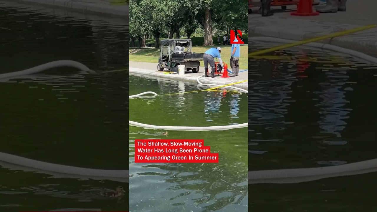 Lincoln Memorial Reflecting Pool Is Already Green Days After Renovation