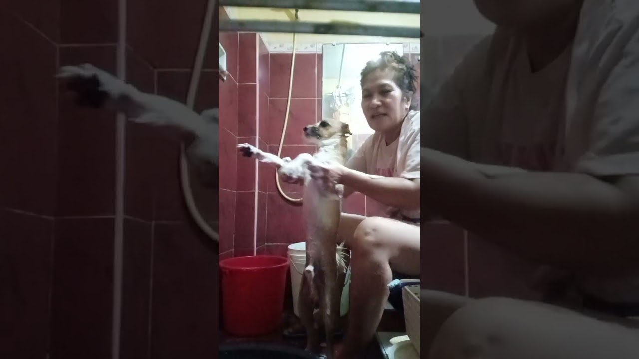 2026 🚿 Bath Of Buster 🥰❤️🍷