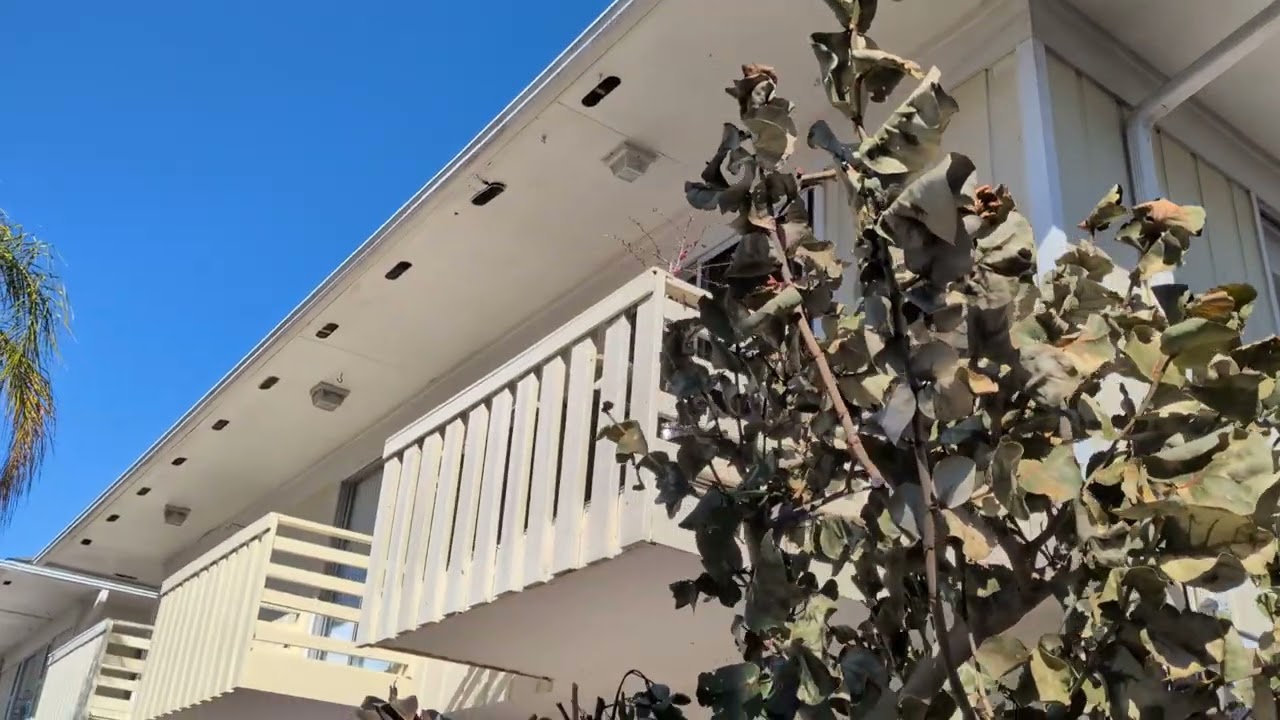 419 Ocean #204 - outside 