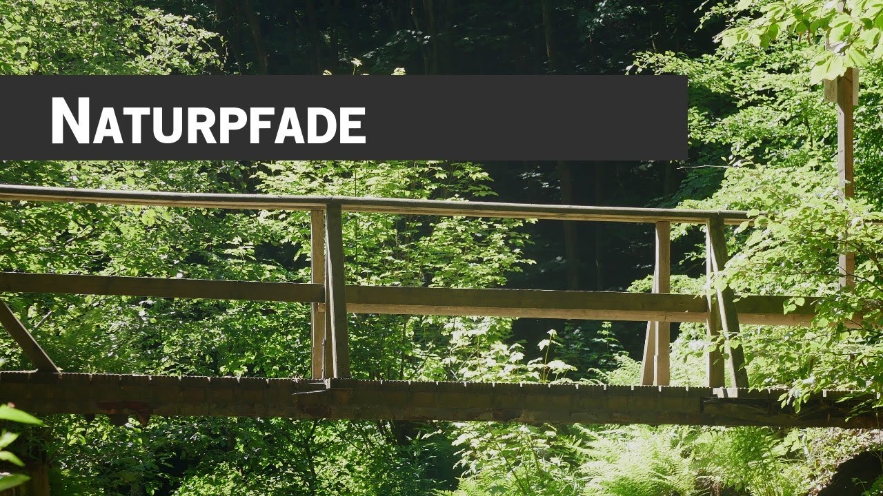 10 Sauerland Naturerlebnispfade