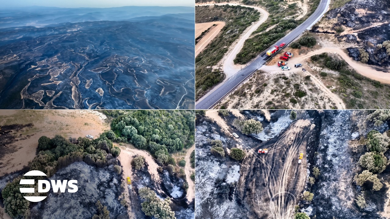 Devastating Spain Wildfire Aftermath Captured By Drone In Zaragoza Region | DWS News | AP14