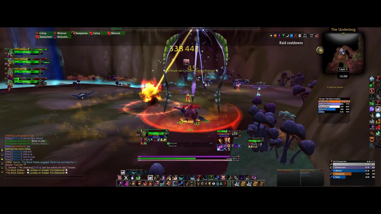 WoW TBC Feral Dungeon Tanking No CC