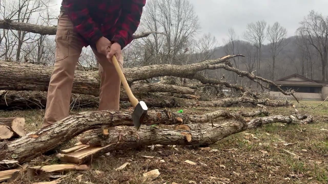 Casterman Forest Axe 