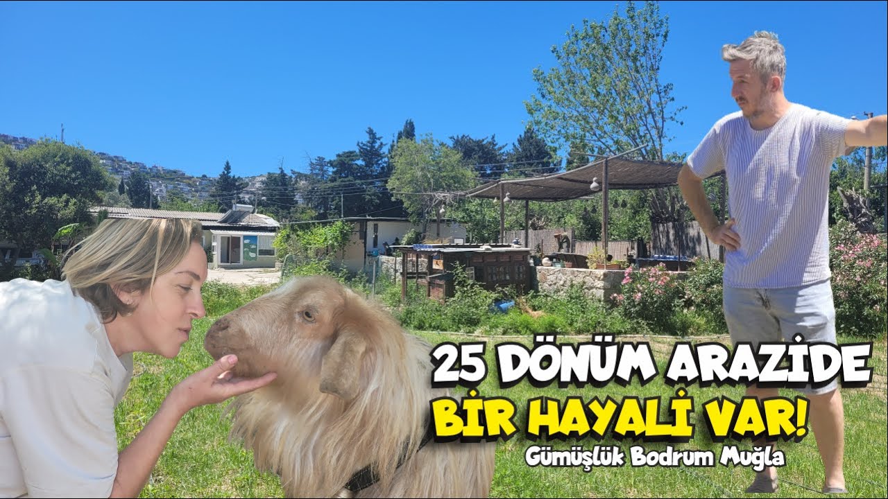 Bodrum'un ortasında bir çiftliği var. Harika hayali gerçekleşecek mi ? (Avustralya'dan Bodrum'a)
