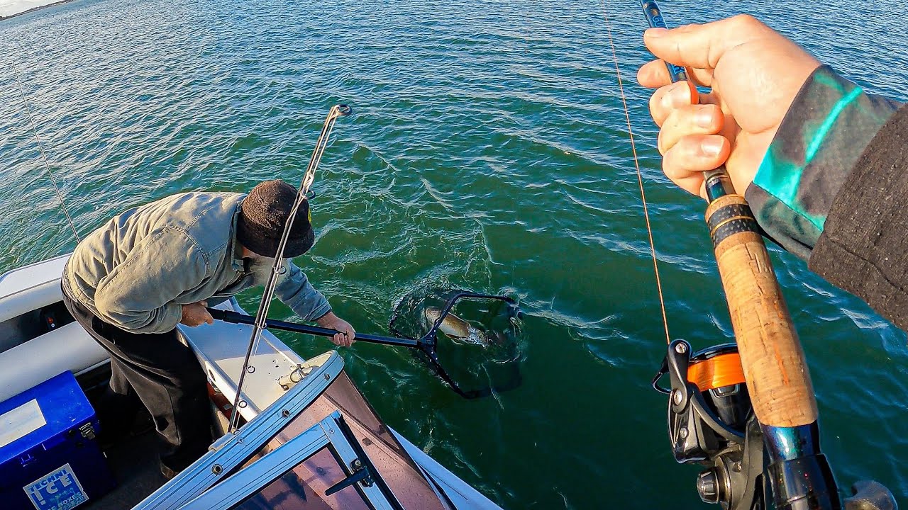ALL IT TAKES IS ONE CAST