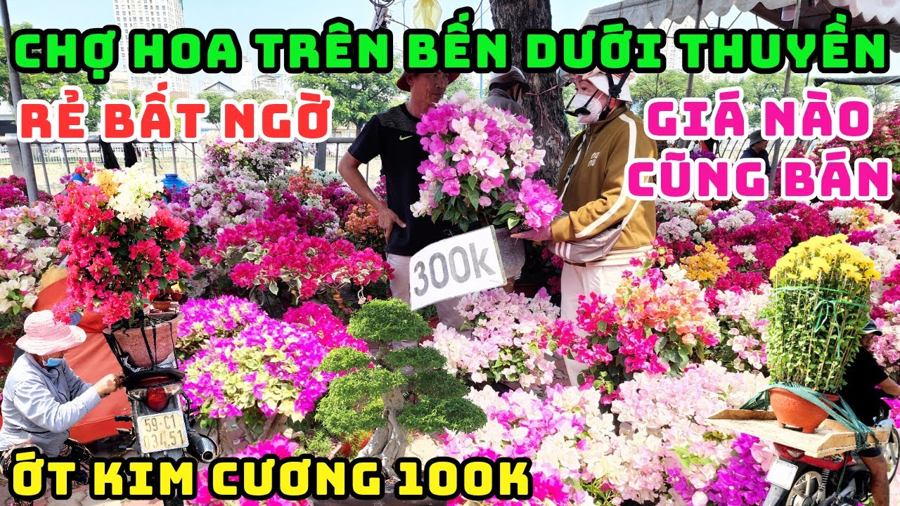 RẺ NHẤT SÀI GÒN! XUẤT HIỆN MAI CHIẾU THỦY MINI 50K, BÔNG GIẤY NGŨ SẮC 150K TẠI CHỢ HOA BẾN BÌNH ĐÔNG