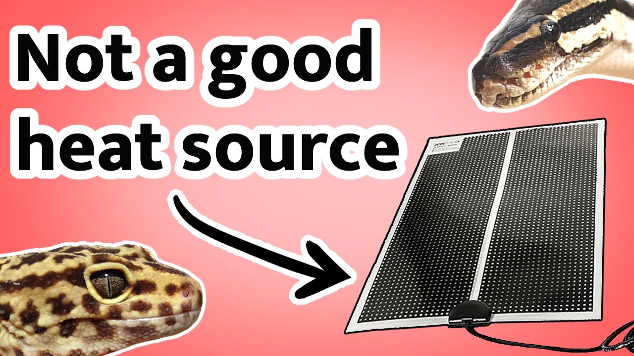 Why Heat Mats are Bad