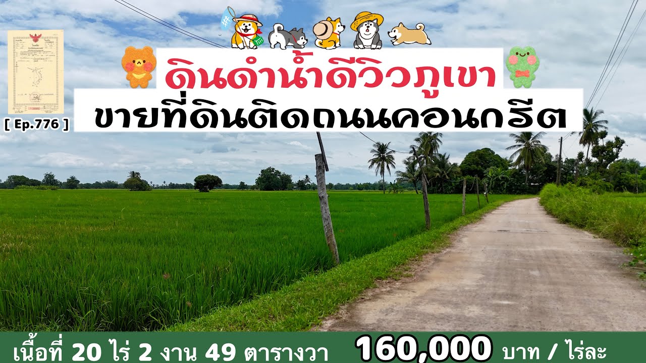 [ Ep.776 ] ขายที่นาดินดำน้ำดี 20 ไร่ 2 งาน 49 ตารางวา ไร่ละ 160,000 บาท อ.หนองฉาง จ.อุทัยธานี 