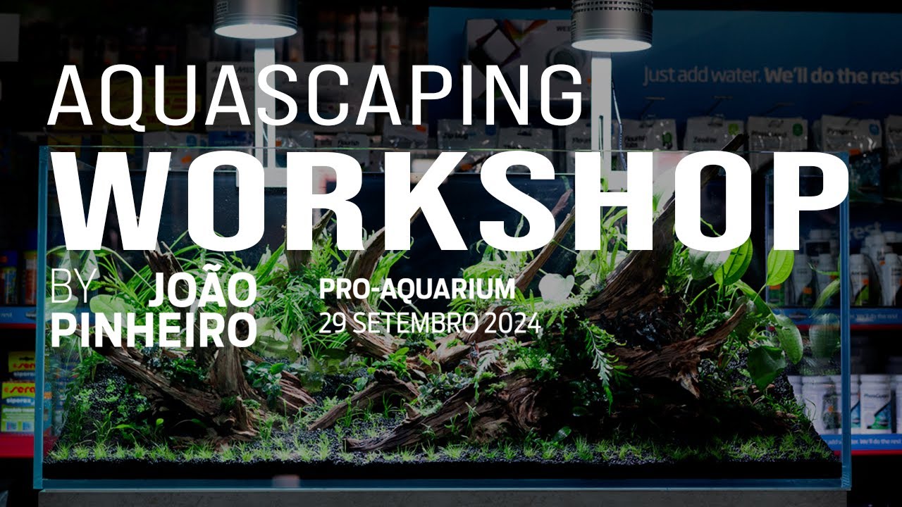 LEARN AQUASCAPING WITH JO&Atilde;O PINHEIRO | AQUASCAPING WORKSHOP AT PROAQUARIUM