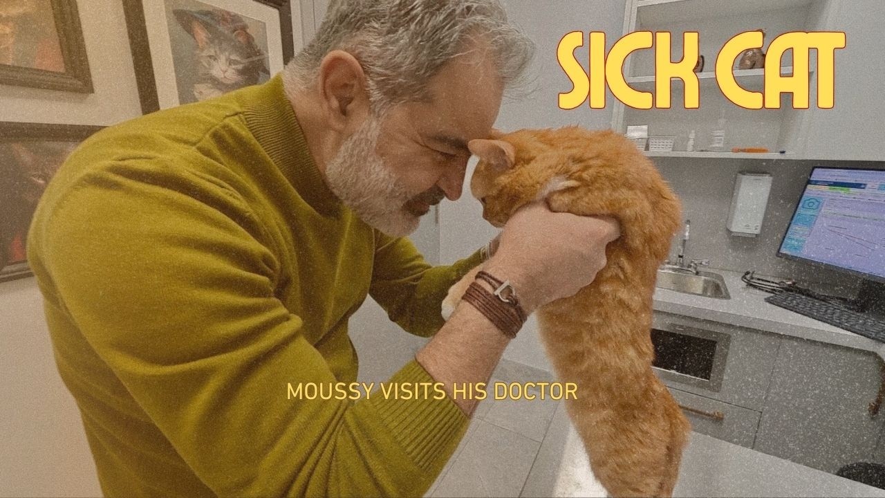 The Nicest Cat in the World, Moustache is Sick. He Visits His Doctor (Veterinarian) Who Loves Him.