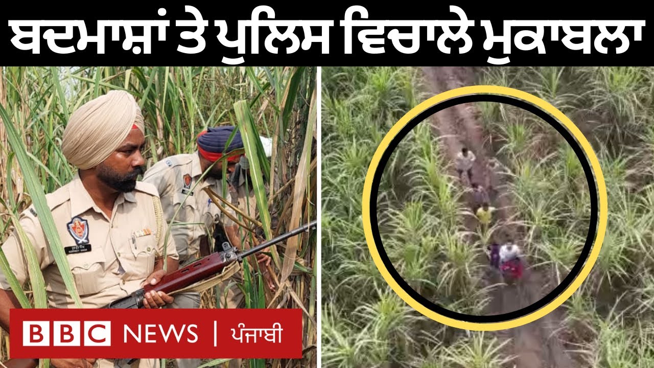 Punjab police ਤੇ Delhi police ਨੇ ਜਦੋਂ ਬਦਮਾਸ਼ਾਂ ਨੂੰ ਫੜਨ ਲਈ ਆਪਰੇਸ਼ਨ ਚਲਾਇਆ | 𝐁𝐁𝐂 𝐏𝐔𝐍𝐉𝐀𝐁𝐈