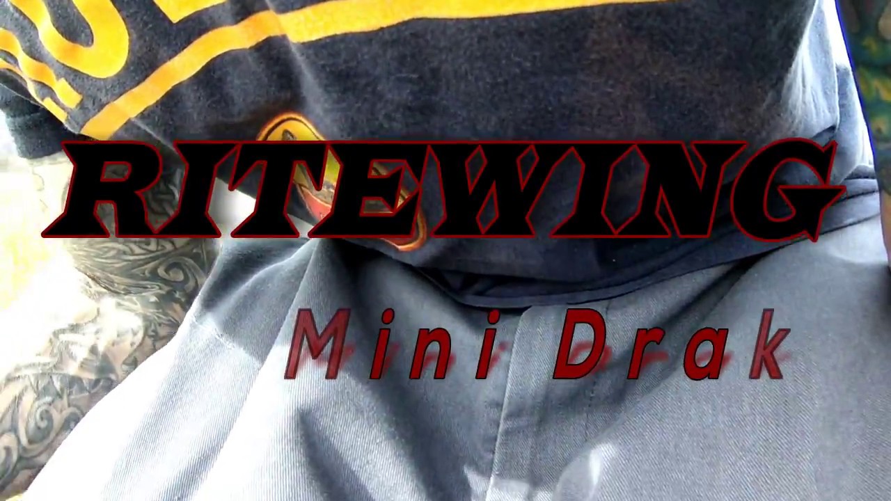 Mini Drak by: RiteWingRC