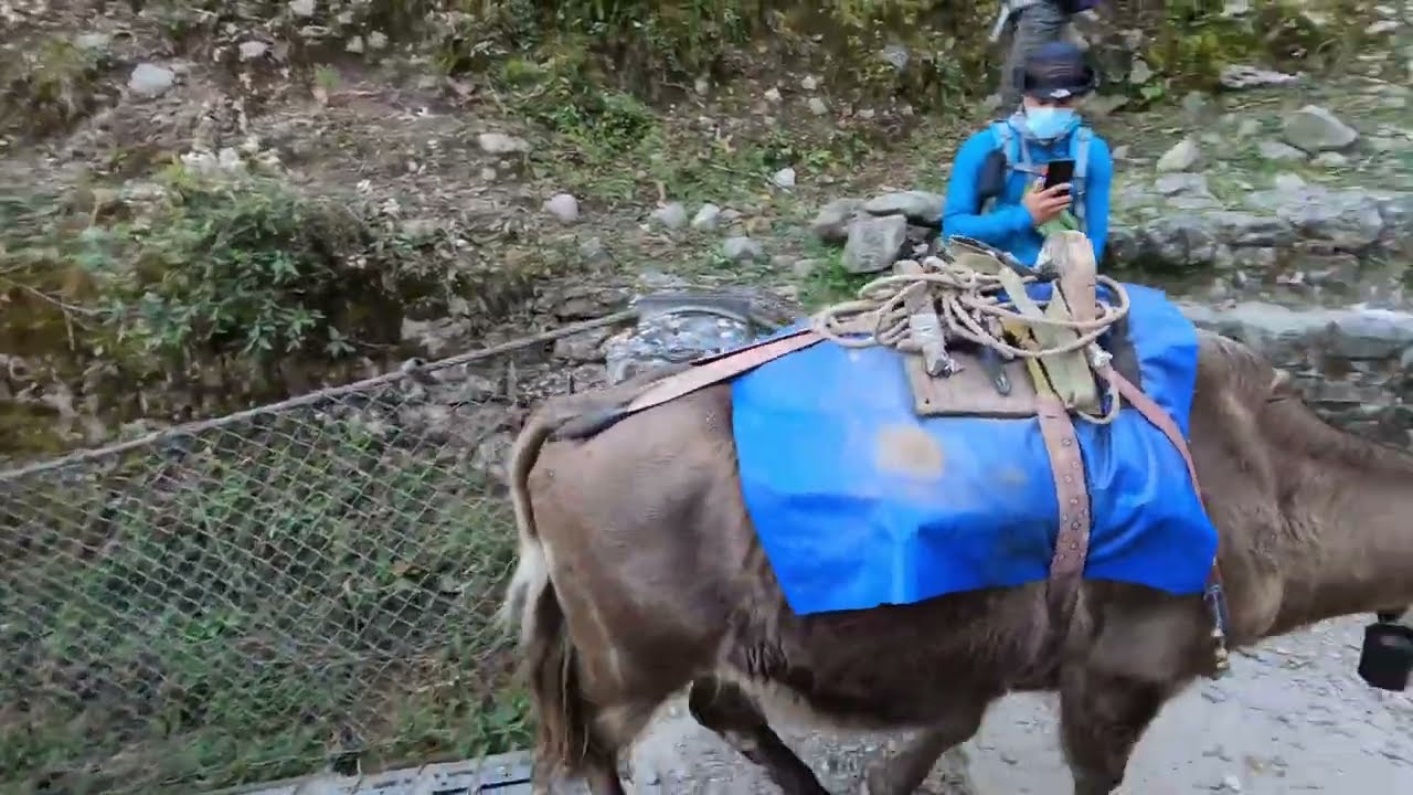 Lukla to Everest Base Camp | Kalapathhar | Kongma La Pass | Chola Pass | Gokyo | Gokyo Fifth Lake