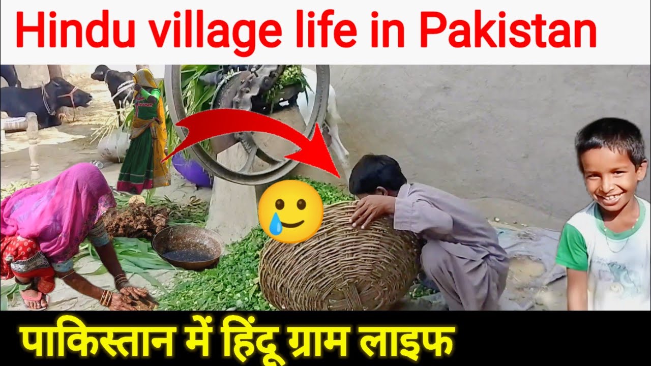 पाकिस्तान में हिंदू ग्राम लाइफ||Hindu village life in Pakistan
