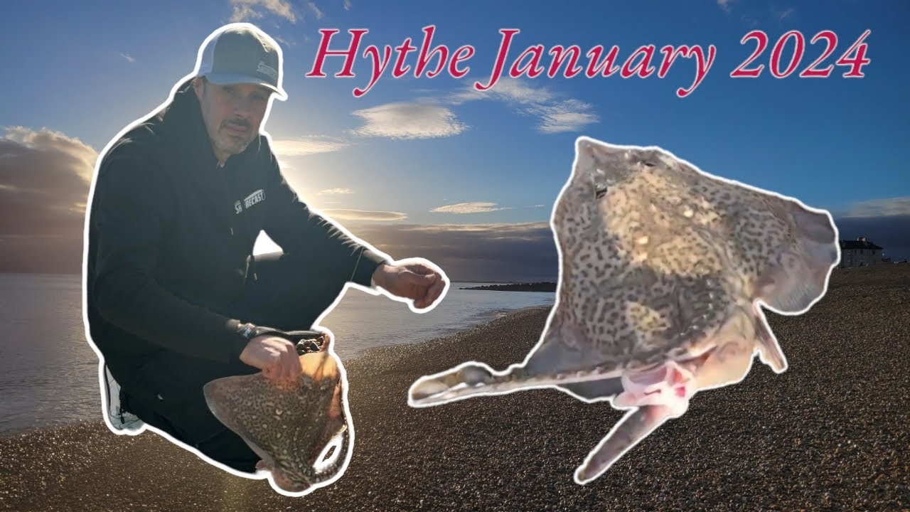 Sea fishing UK at Hythe January 2024 catching Thornback Ray, Dab, Whiting and Dogfish no Bass