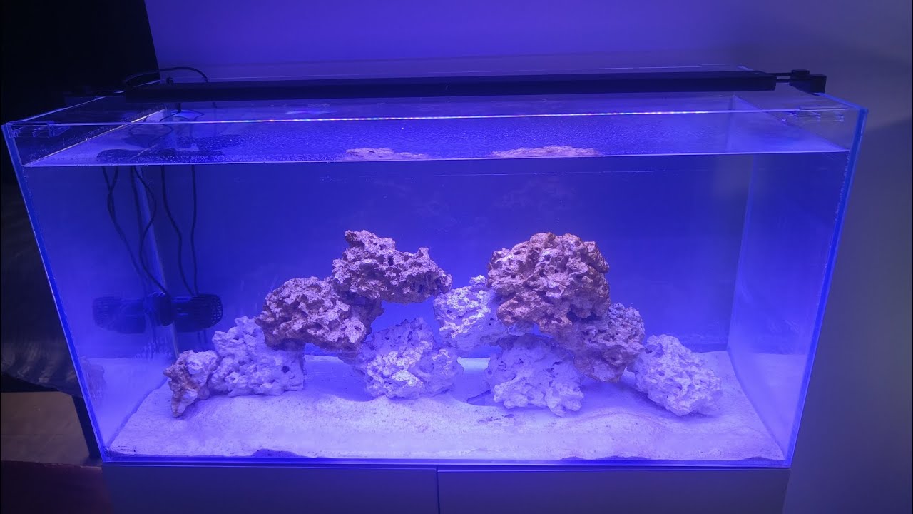 📌Skimmer de superficie y la gran importancia en acuarios marinos y de agua dulce que carecen de sump