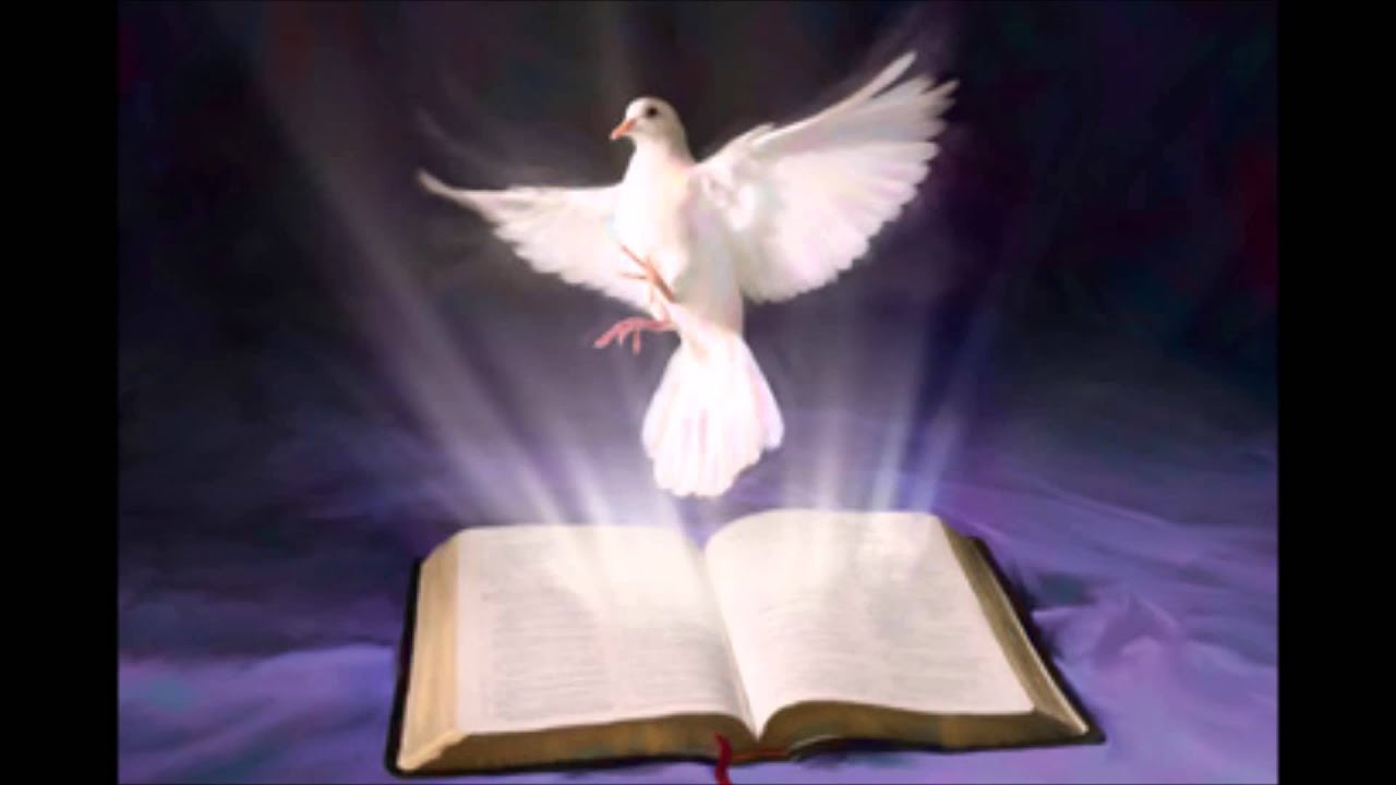 Tule Pyh&auml; Henki