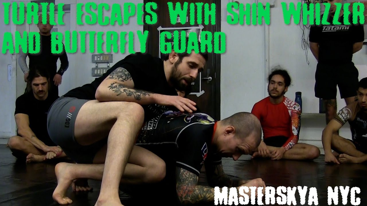 Masterskya BJJ - Turtle Escapes with Shin Whizzer and Butterfly Guard