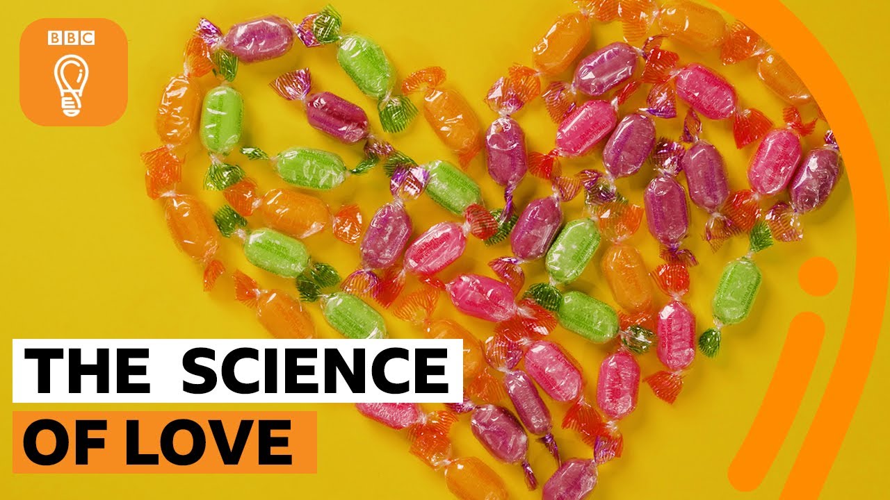 What is love from a neuroscientific perspective? 🤔❤️&zwj;🔥 BBC