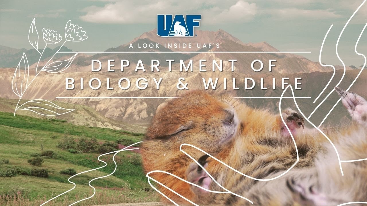 Department of Biology and Wildlife