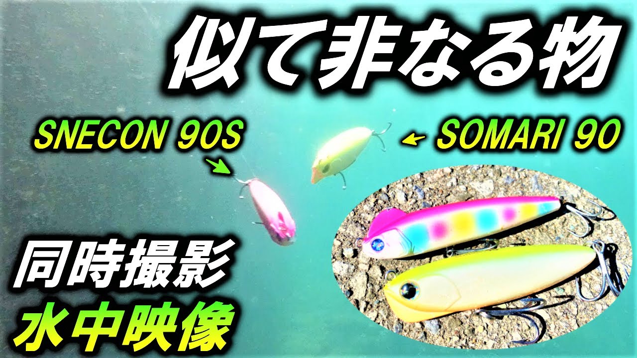 同時水中映像【スネコン90S ソマリ90】ワイドS字 アクションの 人気シーバス ルアーのアクション比較！blueblue SNECON　ima SOMARI