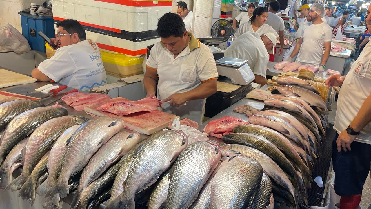 Fartura demais - delícias  #peixesamazonicos #manausmazonas #amazon #ribeirinhos #pescaria #fishing 