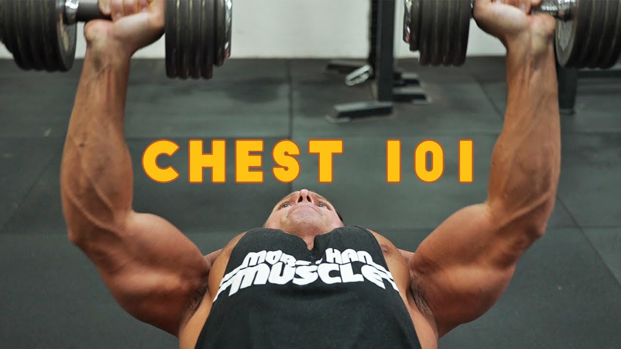 Chest 101: The Fundamentals of Chest Training