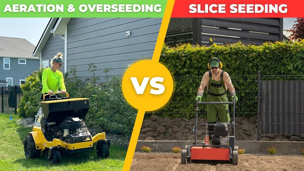 Slice Seeding vs. Aeration & Overseeding