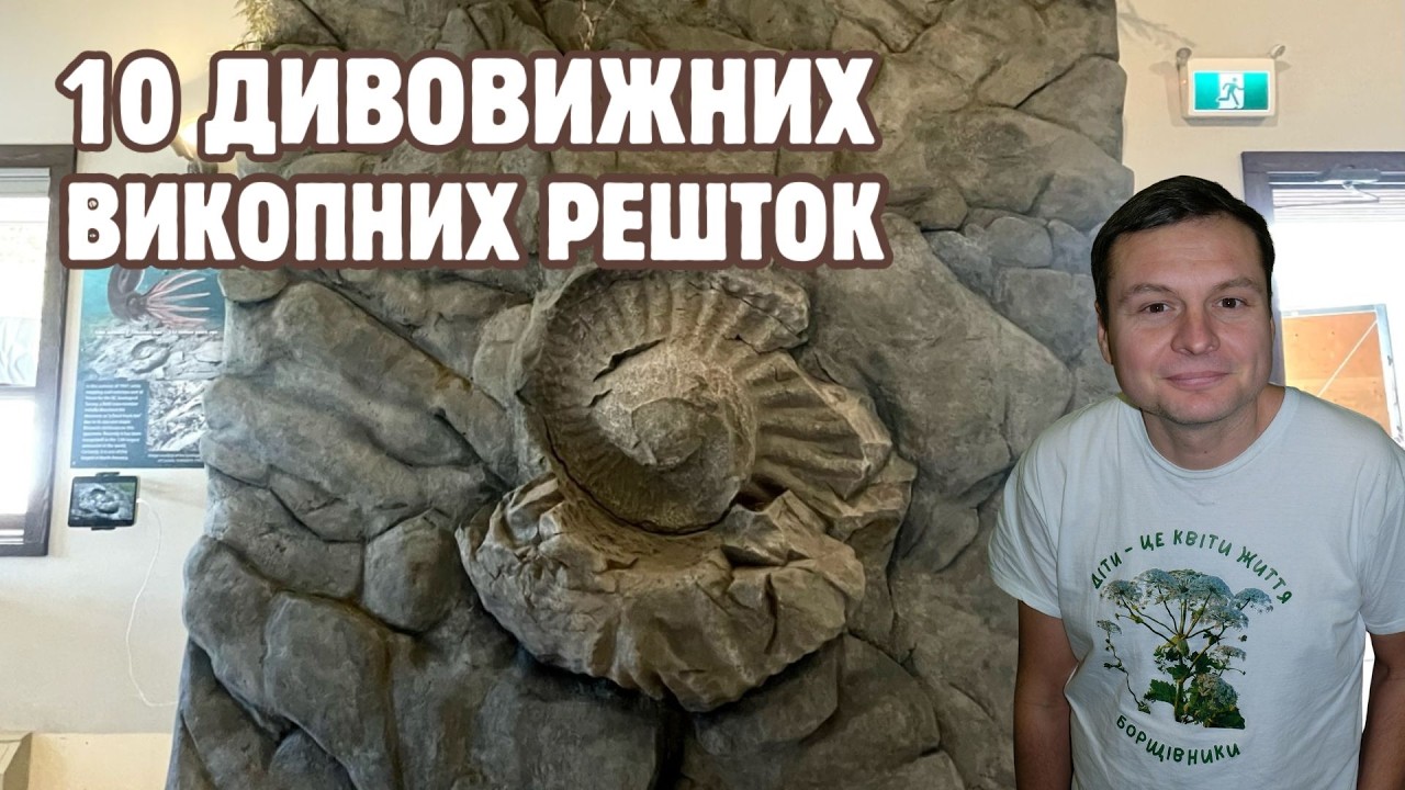 Скам'яніла шина вантажівки, зомбі в геологічному літописі та інші дивовижні викопні рештки
