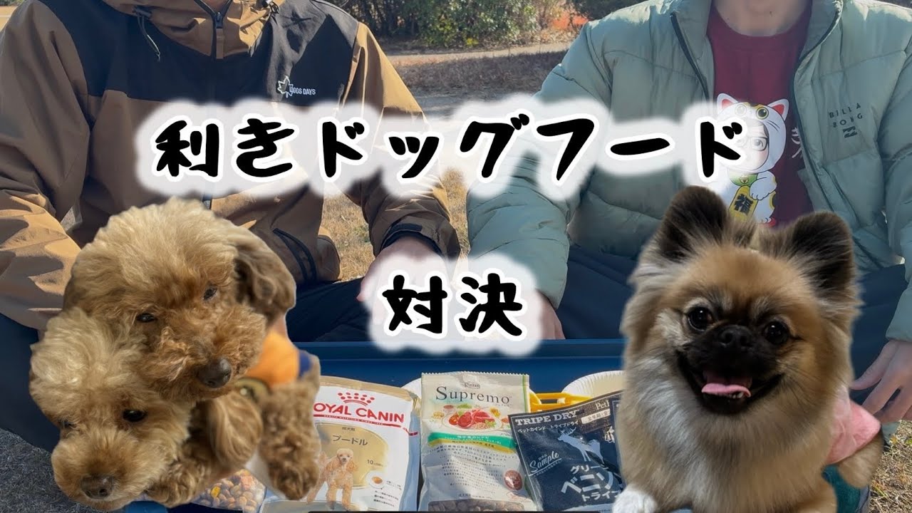 【ゲ〇注意！？】ドックフードたべたらまさかの結果に、、