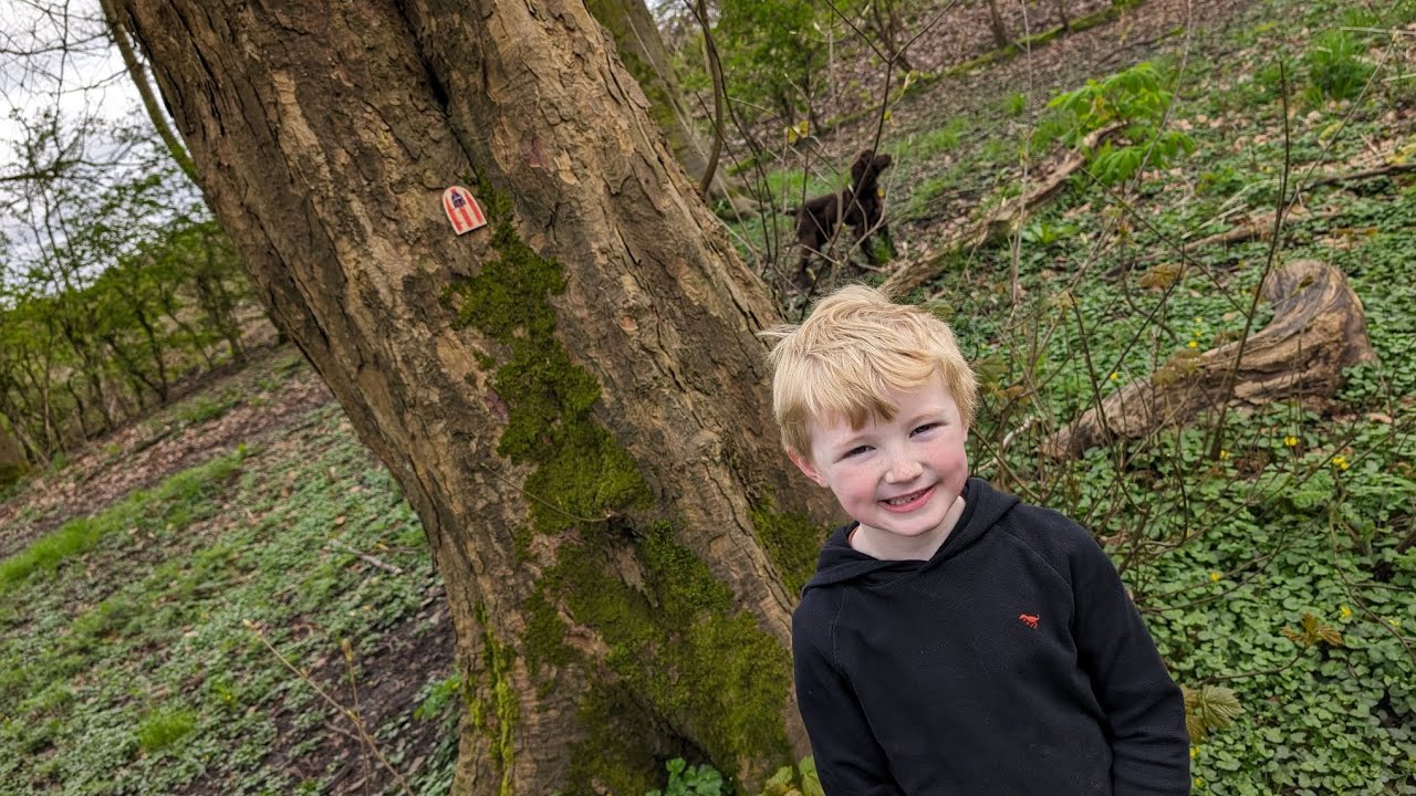 Arthur's Woodland Fairy Doors