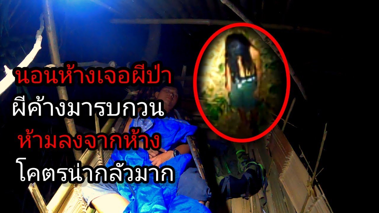 นอนห้างเจอผีป่า ผีค้างมารบกวน เฝ้าห้างเจอดีเวลากลางคืน ห้ามลงจากห้างมีสิ่งนี้เฝ้าอยู่